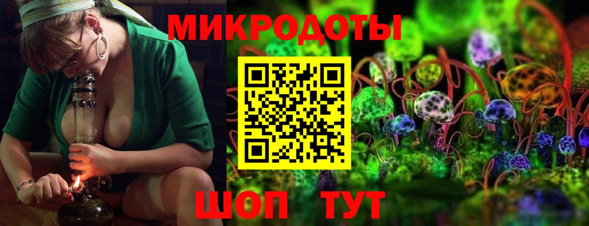 Галлюциногенные грибы Psilocybe  Вход с VPN  Касимов 